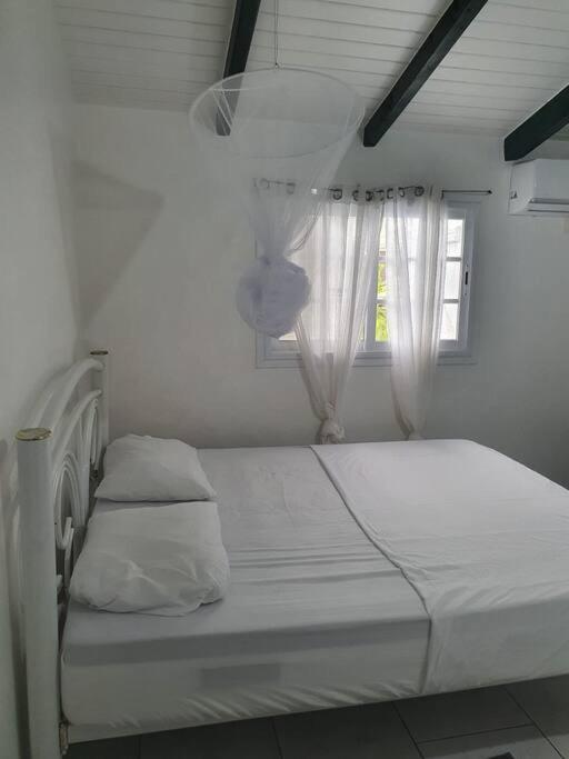 Le Sable Bleu - Evasion Tropicale A Sainte-Anne - Plage 5Min - Piscine - Parking - Logement Climatise - Vue Sur Les Palmiers - Parfait Pour Sejours En Famille Ou Entre Amis Eksteriør bilde