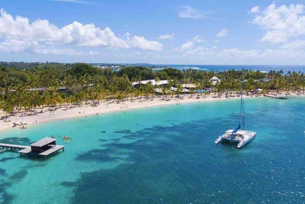 Le Sable Bleu - Evasion Tropicale A Sainte-Anne - Plage 5Min - Piscine - Parking - Logement Climatise - Vue Sur Les Palmiers - Parfait Pour Sejours En Famille Ou Entre Amis Eksteriør bilde