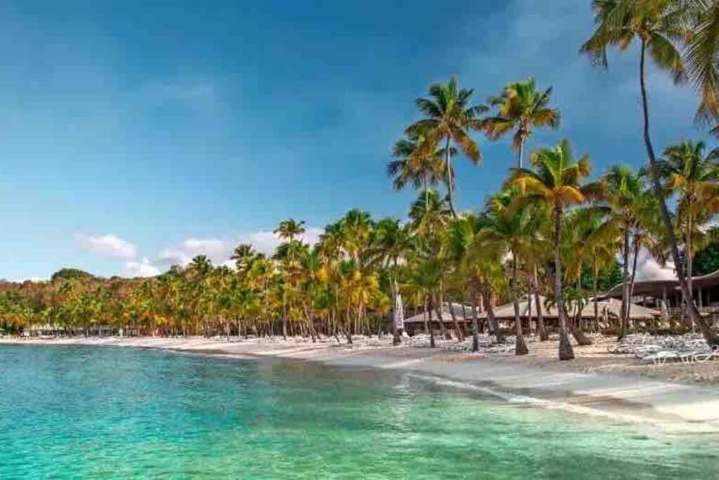 Le Sable Bleu - Evasion Tropicale A Sainte-Anne - Plage 5Min - Piscine - Parking - Logement Climatise - Vue Sur Les Palmiers - Parfait Pour Sejours En Famille Ou Entre Amis Eksteriør bilde