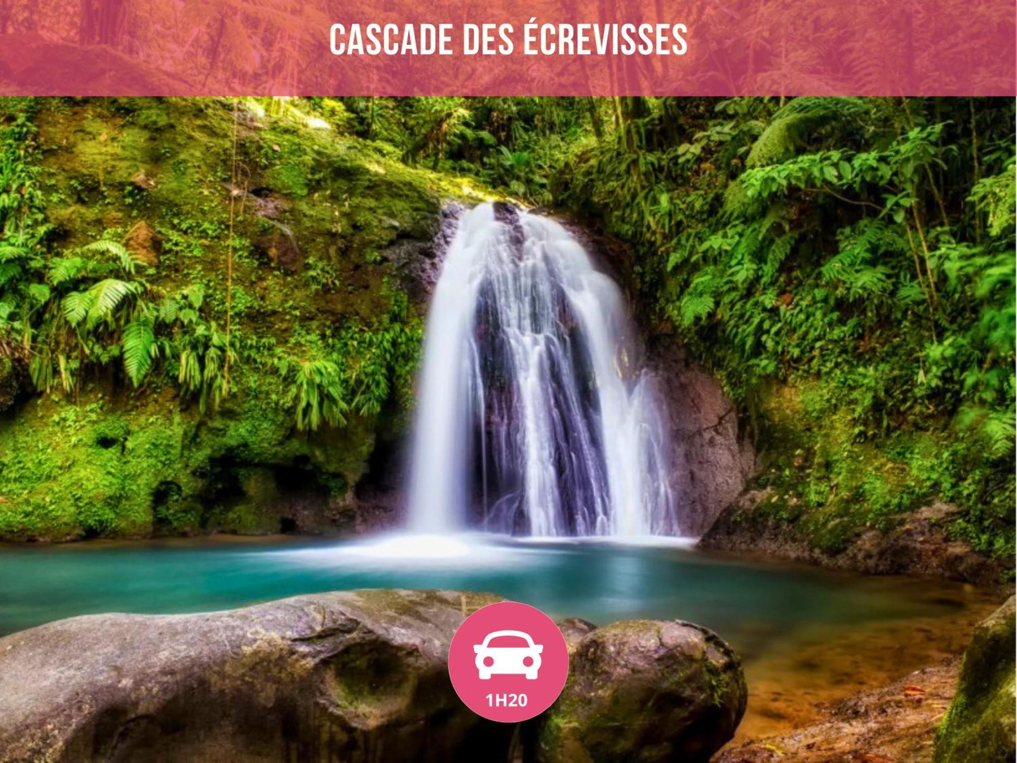 Le Sable Bleu - Evasion Tropicale A Sainte-Anne - Plage 5Min - Piscine - Parking - Logement Climatise - Vue Sur Les Palmiers - Parfait Pour Sejours En Famille Ou Entre Amis Eksteriør bilde