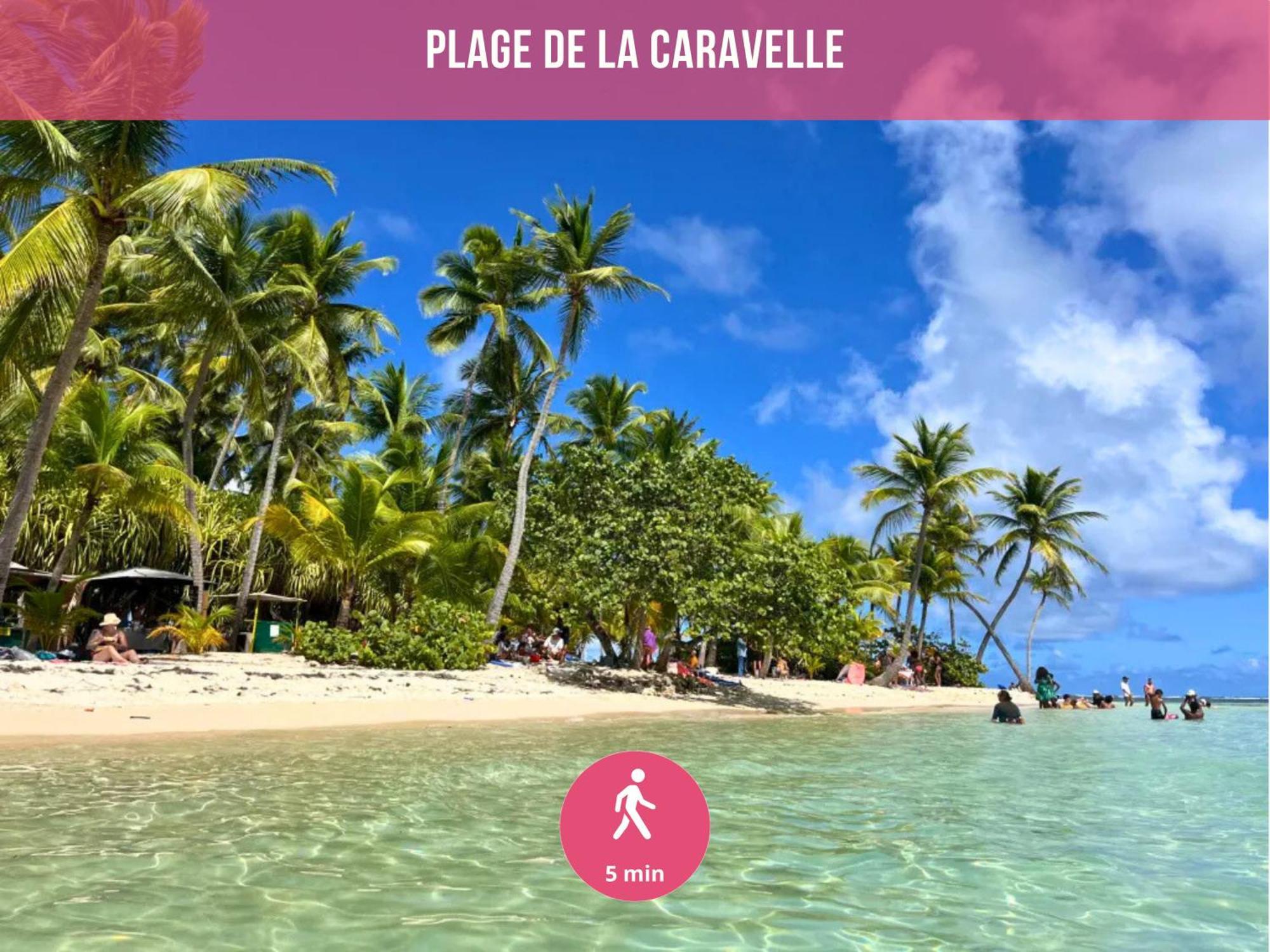 Le Sable Bleu - Evasion Tropicale A Sainte-Anne - Plage 5Min - Piscine - Parking - Logement Climatise - Vue Sur Les Palmiers - Parfait Pour Sejours En Famille Ou Entre Amis Eksteriør bilde